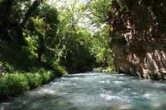 lousios-river